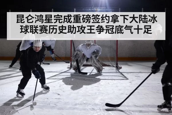 ice hockey arena action