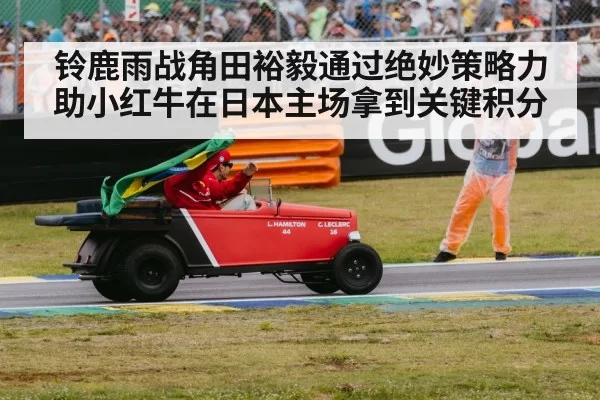 Japanese F1 fan celebration